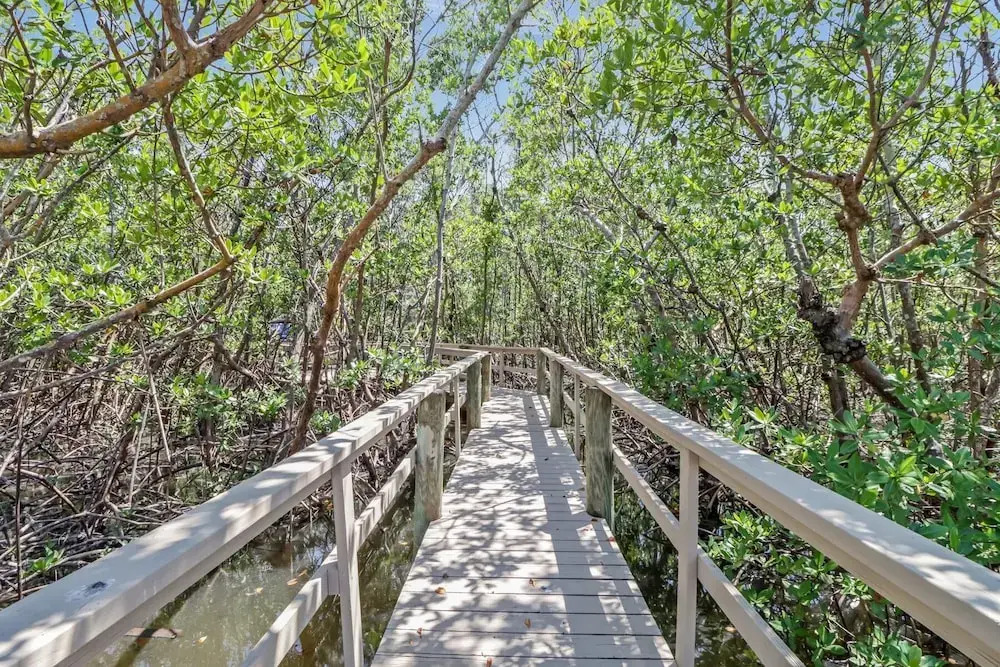 Flamingo Bayou