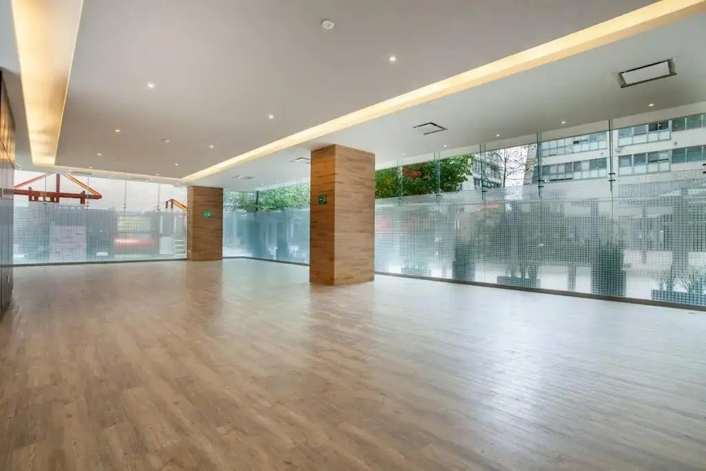 Beautiful apartment in Polanco