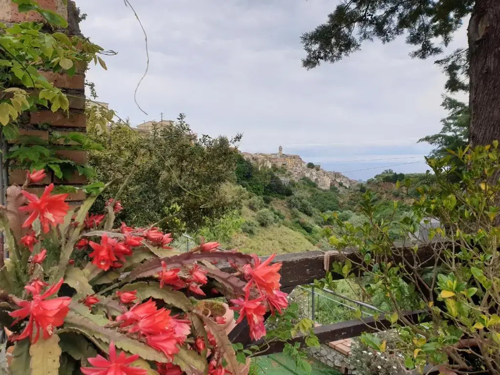 Casa Vacanze Fontanelle