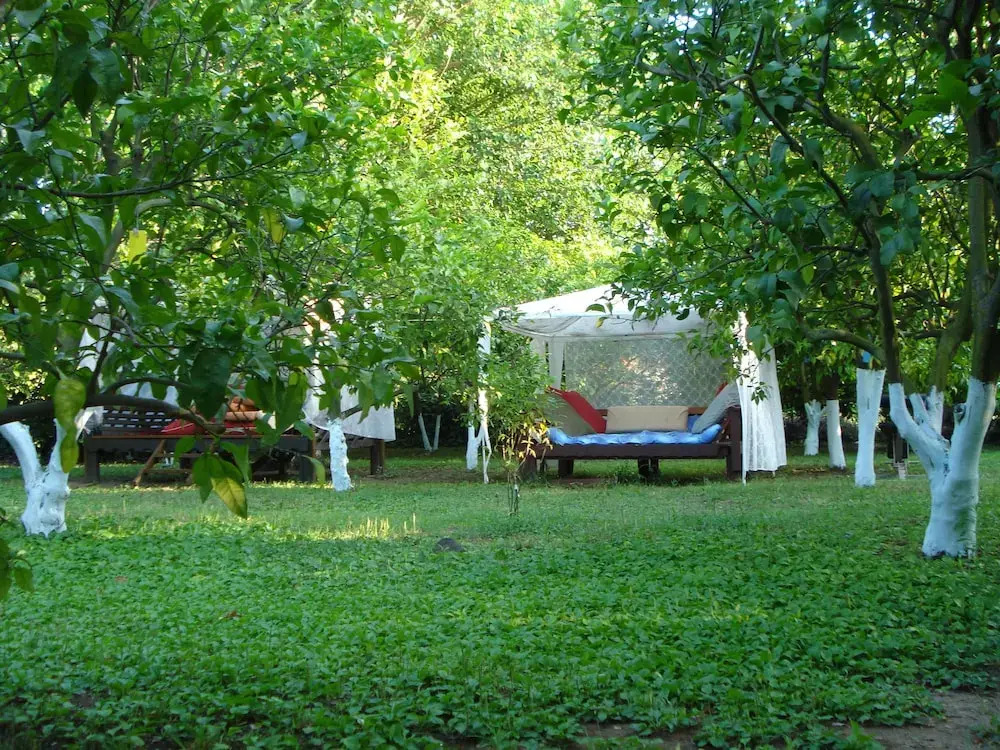 Myland Nature