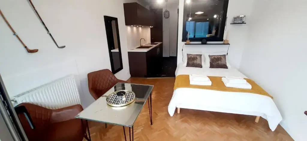 Studio Le 119, Aix les bains - Grand port - Vue Lac splendide