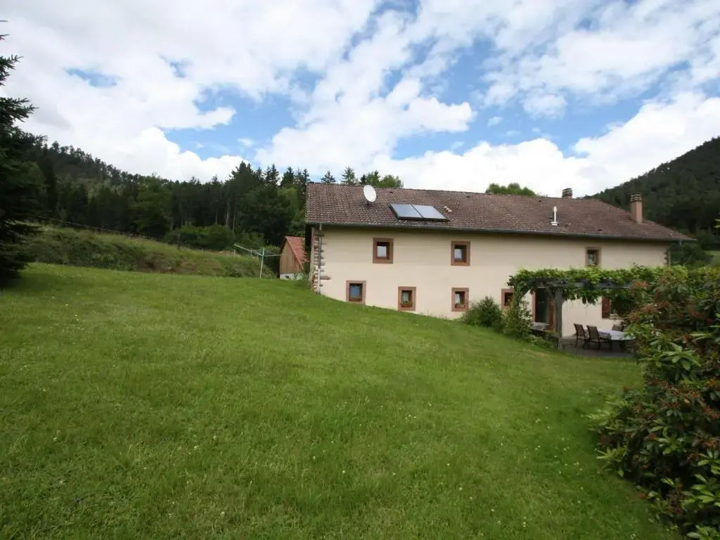 Grande Ferme Rénovée avec Jardin, Terrasse et Sentiers à Proximité - Vosges - FR-1-589-232