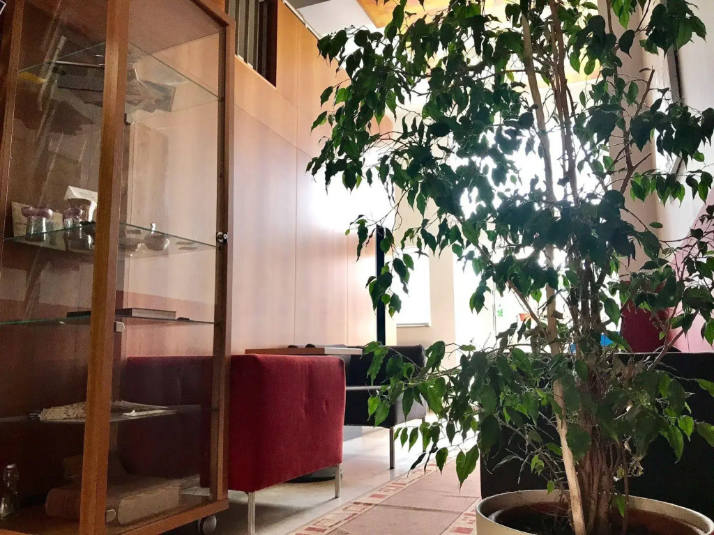 Hotel Maxim