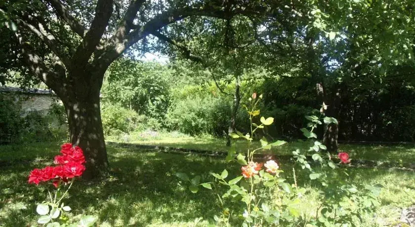 Le Grand Jardin
