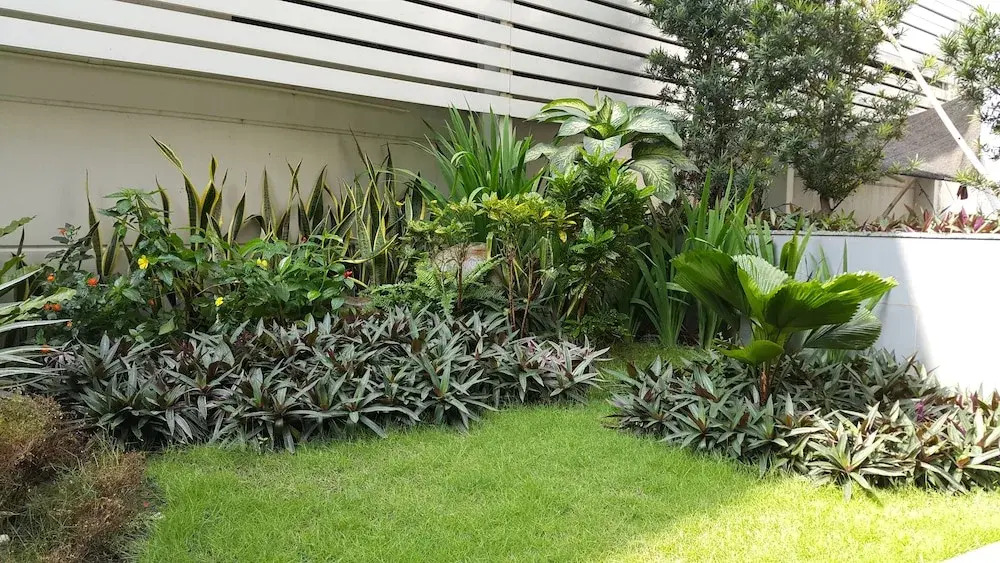 An Phu Plaza Serviced Apartment