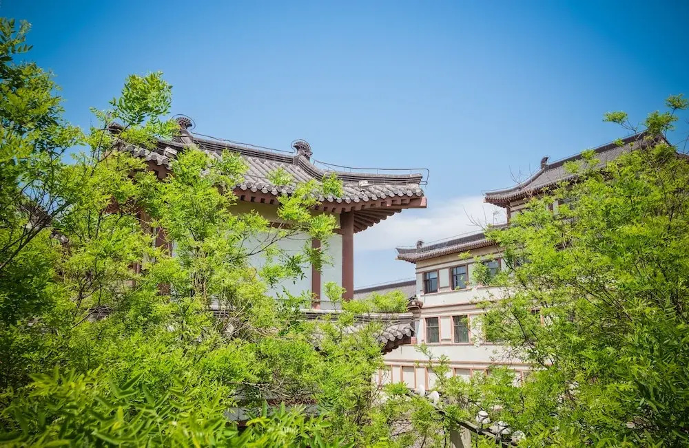 XingLong No.37 Hostel