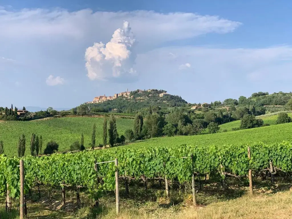S. Bartolomeo II° - "La Loggetta"