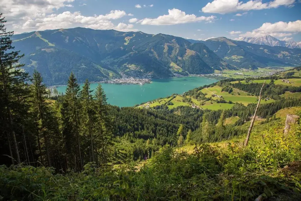 Kapruner Tal- Top 10-1 bedroom Apartment