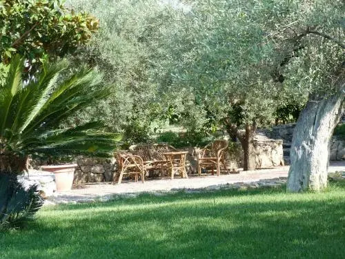 Poggio Delle Palme