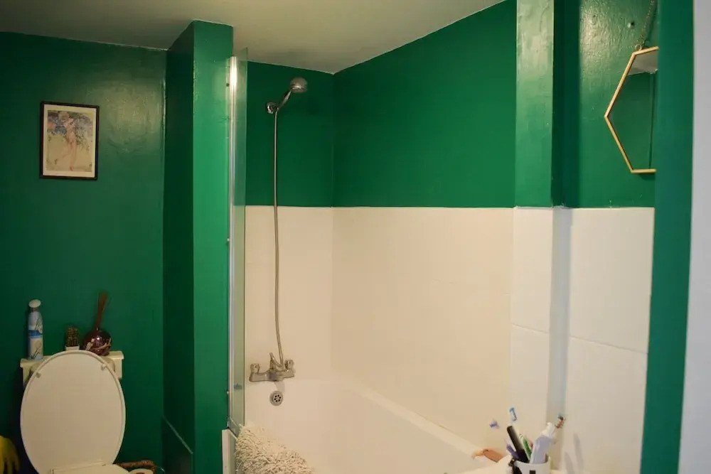 1 Bedroom Flat in Clapton Hackney