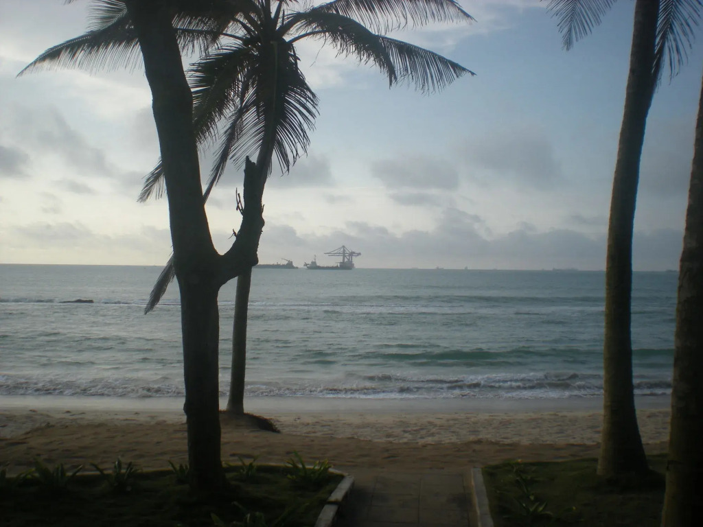 New Robinson Plage