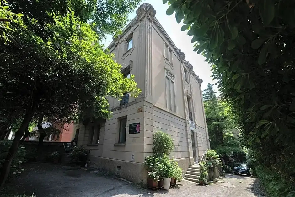 Le Ortensie di Via Rossetti