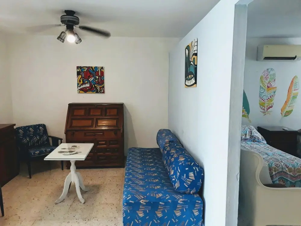 Casa MayaPlant