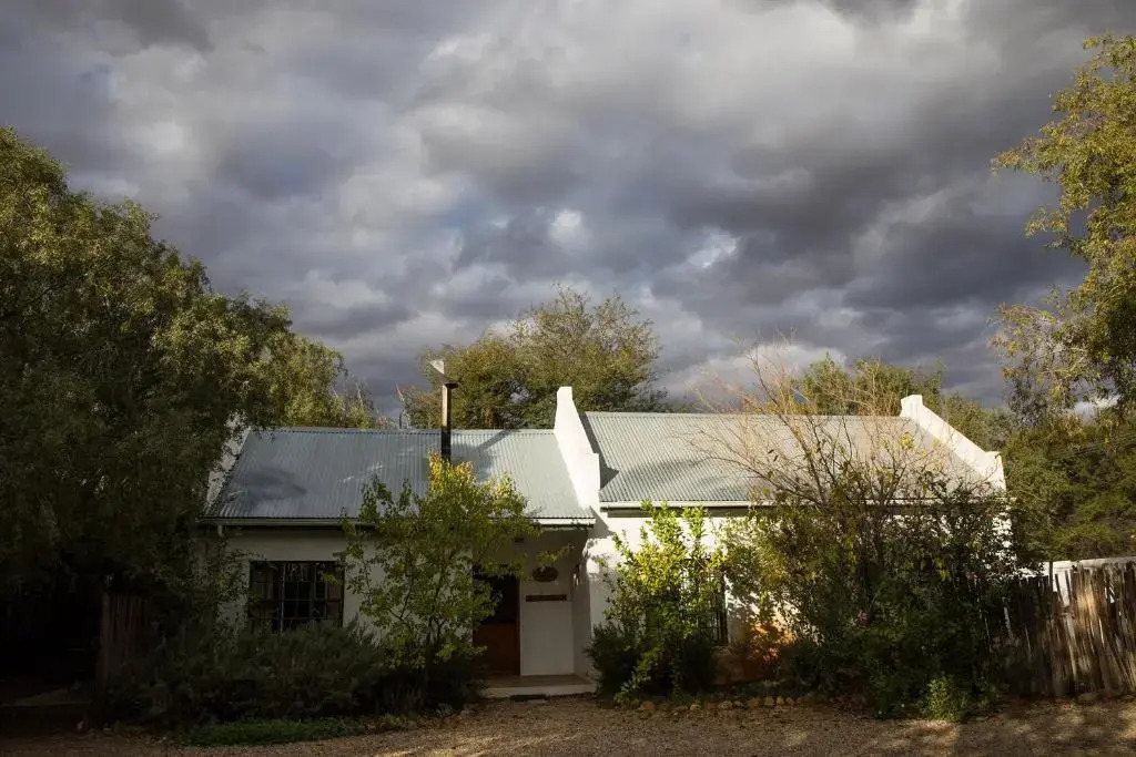 The Olive Thrush Cottage