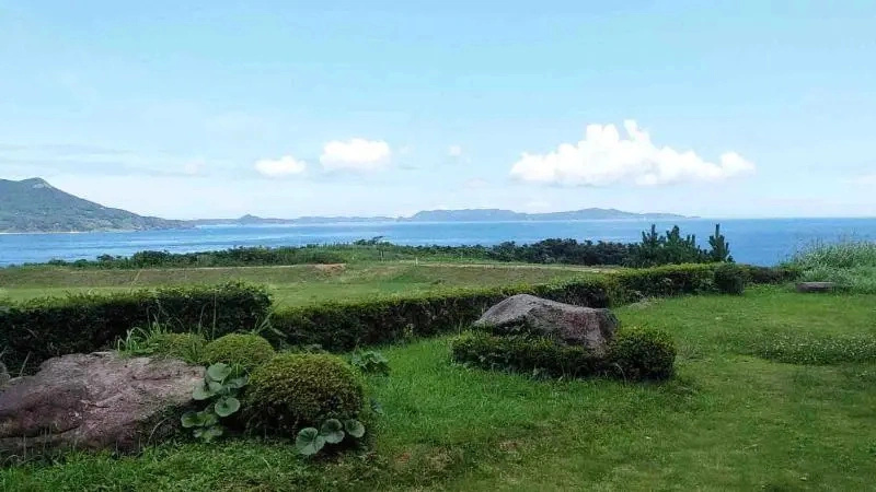 Grass House