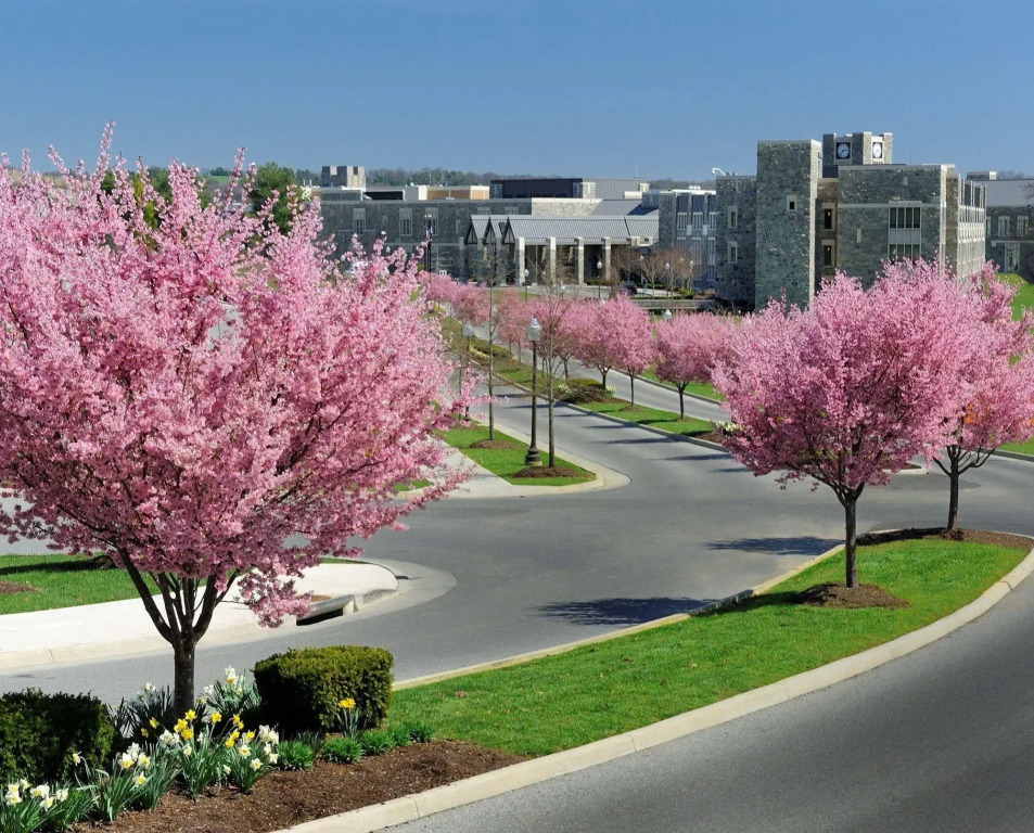 The Inn at Virginia Tech - On Campus