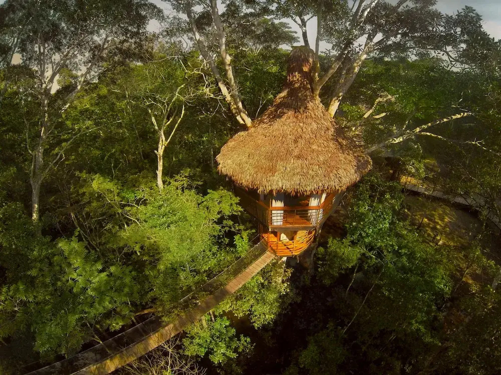 Treehouse Lodge