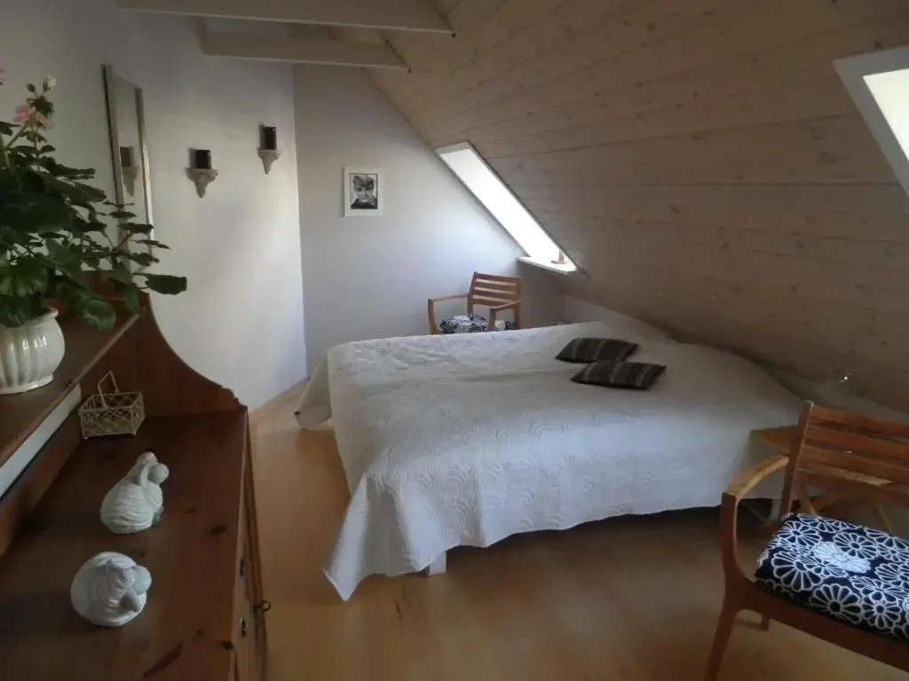 Koppes Mølle B&B - naturnær overnatning