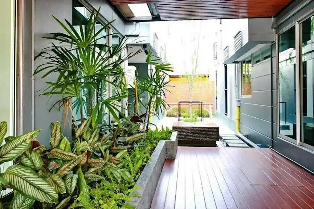 My Space