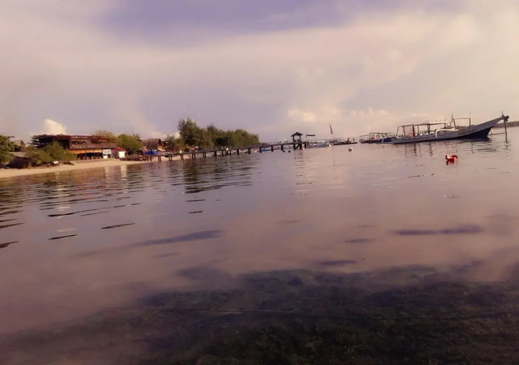 Funnyhomestay3