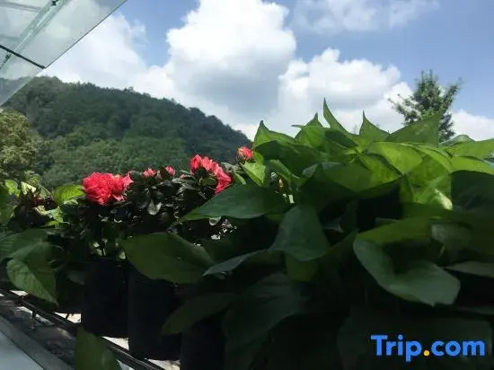 Jiezi Ancient Town Old Manor