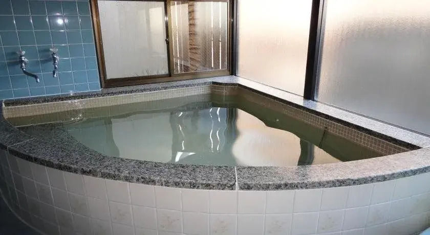 Business Hotel Omika