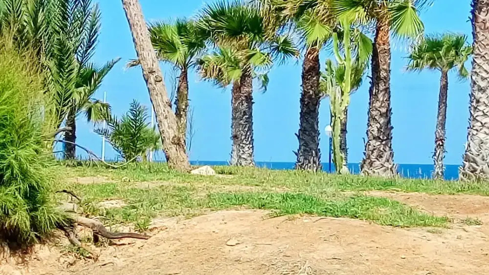 Apartment With 2 Bedrooms in Orihuela, With Wonderful sea View, Pool A