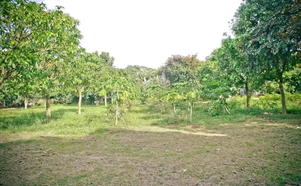 Alicoco Motel & Camping