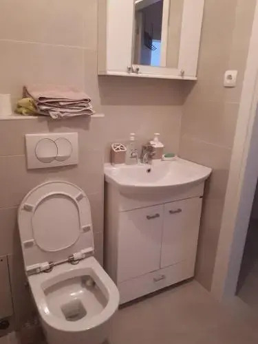 Apartment Igor
