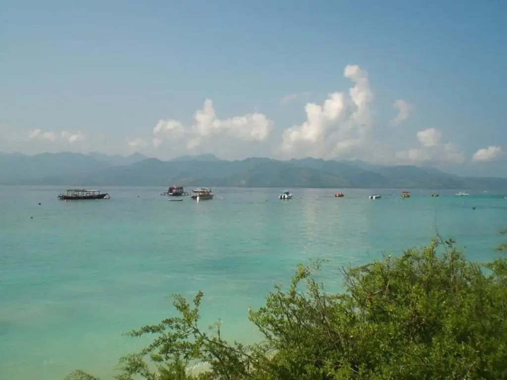 Alexyane Paradise Bungalow