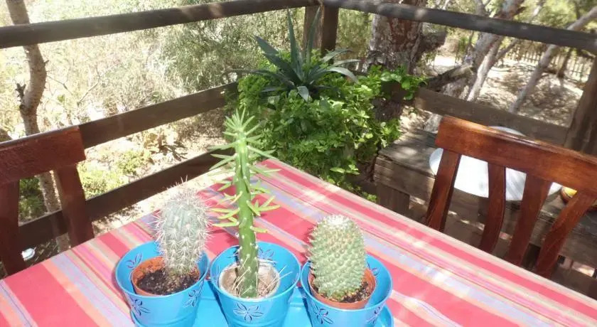 Suite Della Yucca