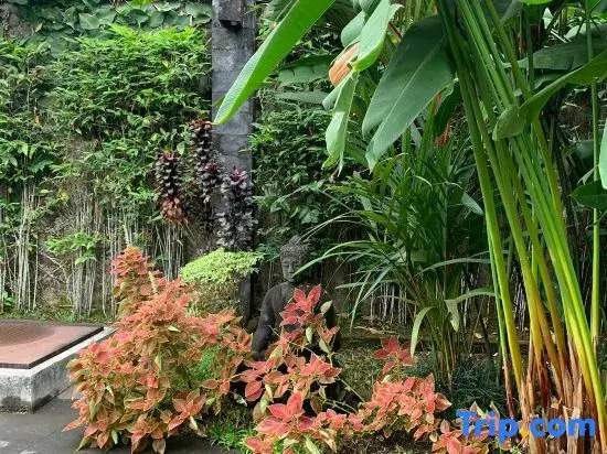Tranquil place near Merapi Mountain