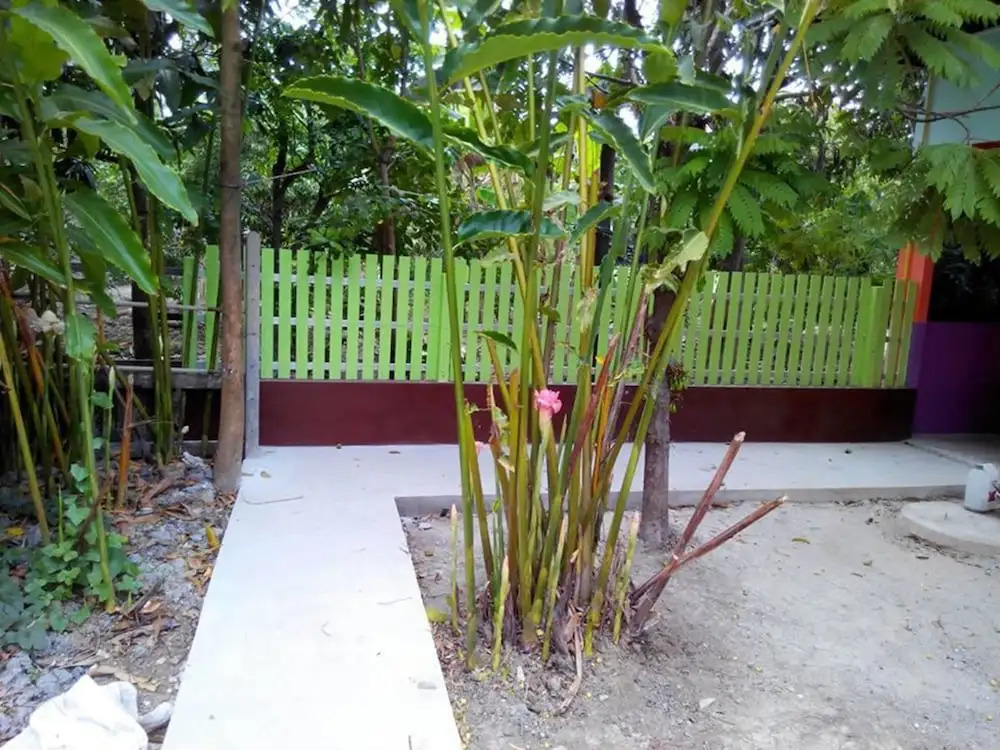 Baansukruthai