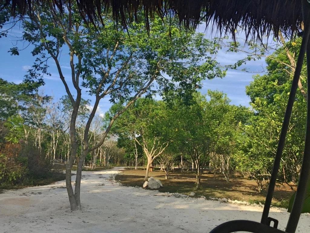 Casa Kaan Calakmul
