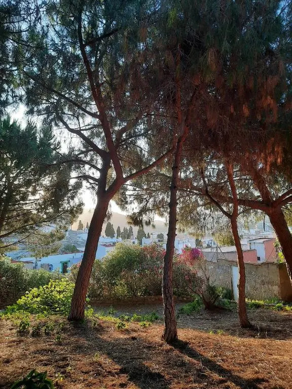 La casa alta