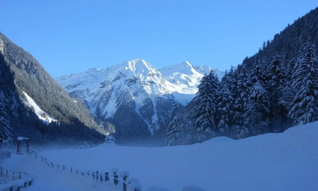 Apartment Gastein
