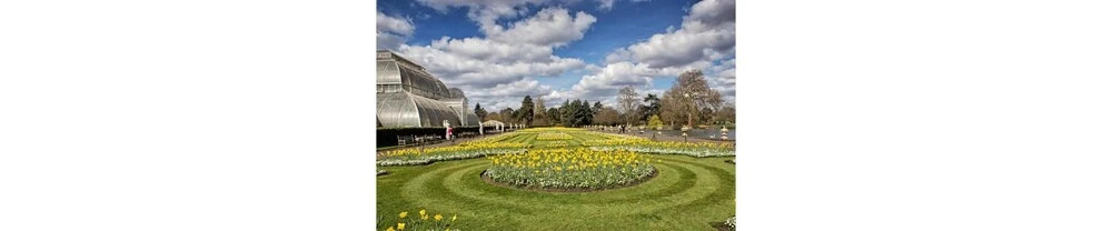 Kew Gardens BandB
