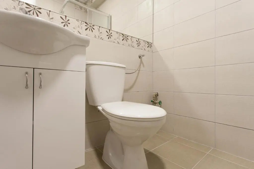 Apartment Partizanska