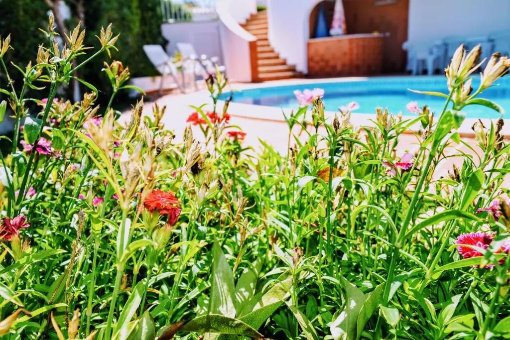 Albufeira Elegance