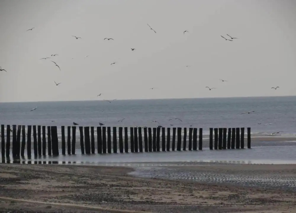 Studio in Domburg Near Beach and Golf