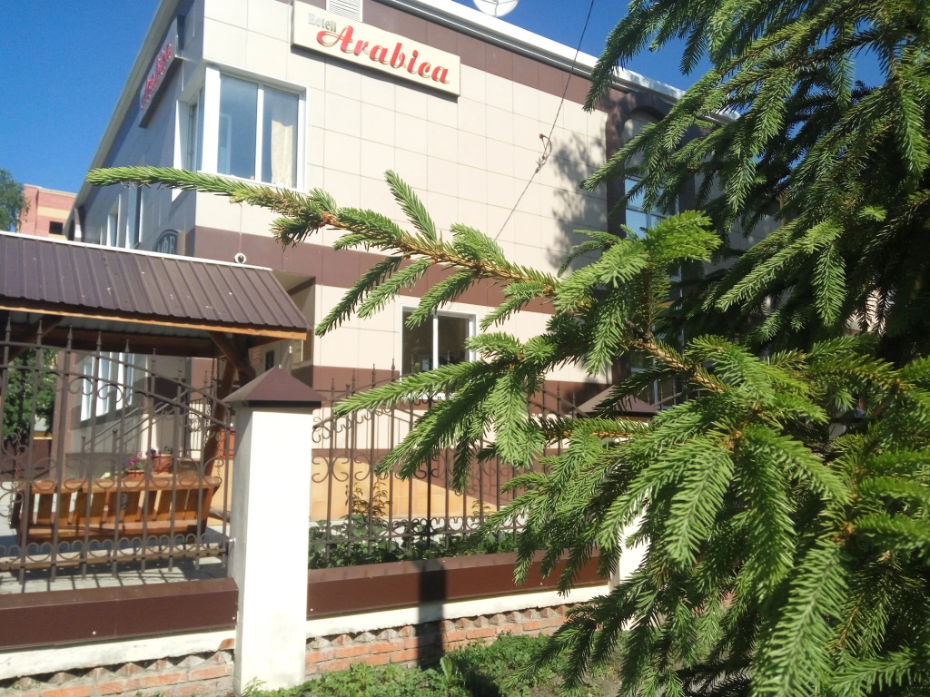 Arabica