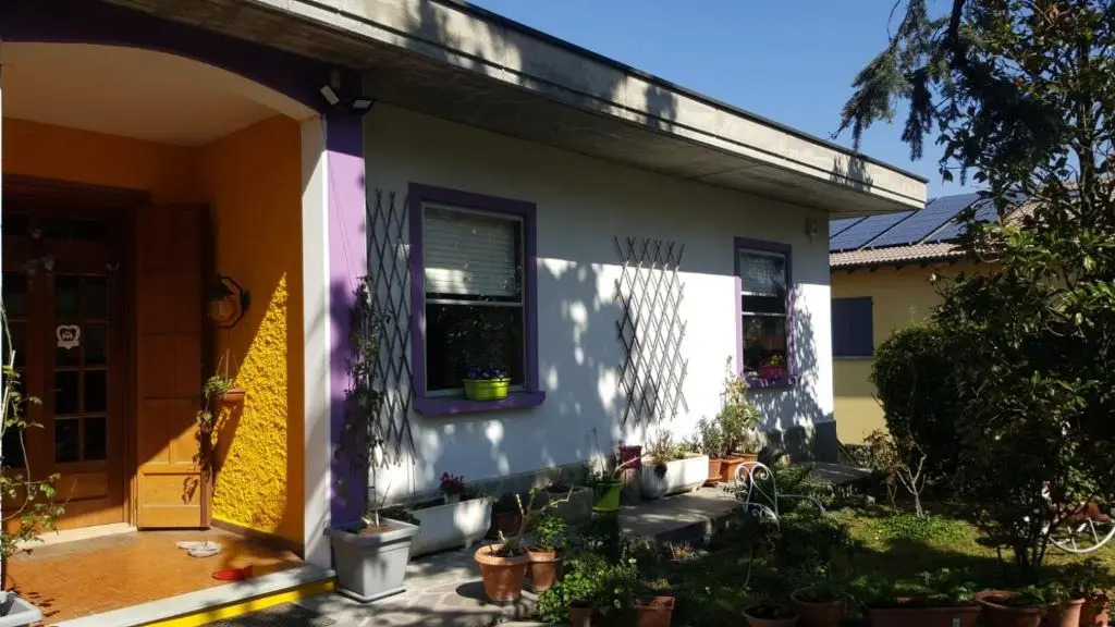 Nel giardino di Oz