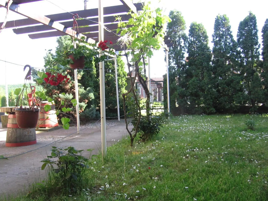Kuća za odmor Jelena