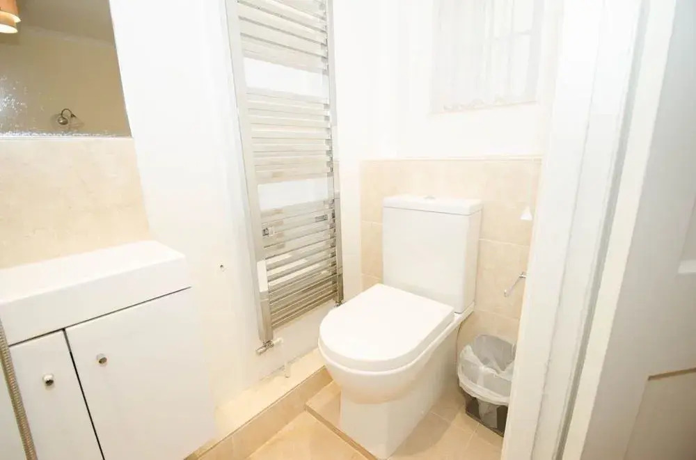 Seymour Place Apartment