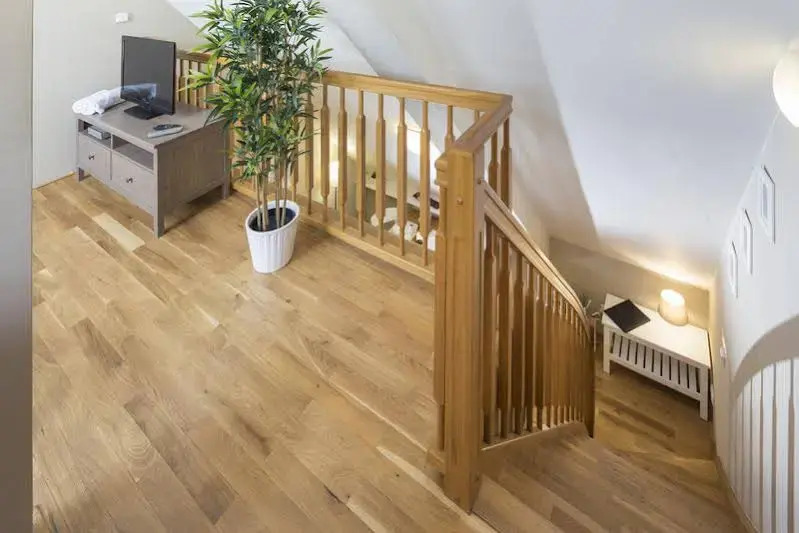 Apartment at Wenceslas Square