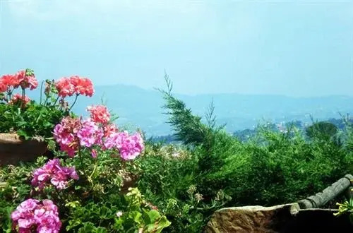 Bed and Breakfast Podere le Cave