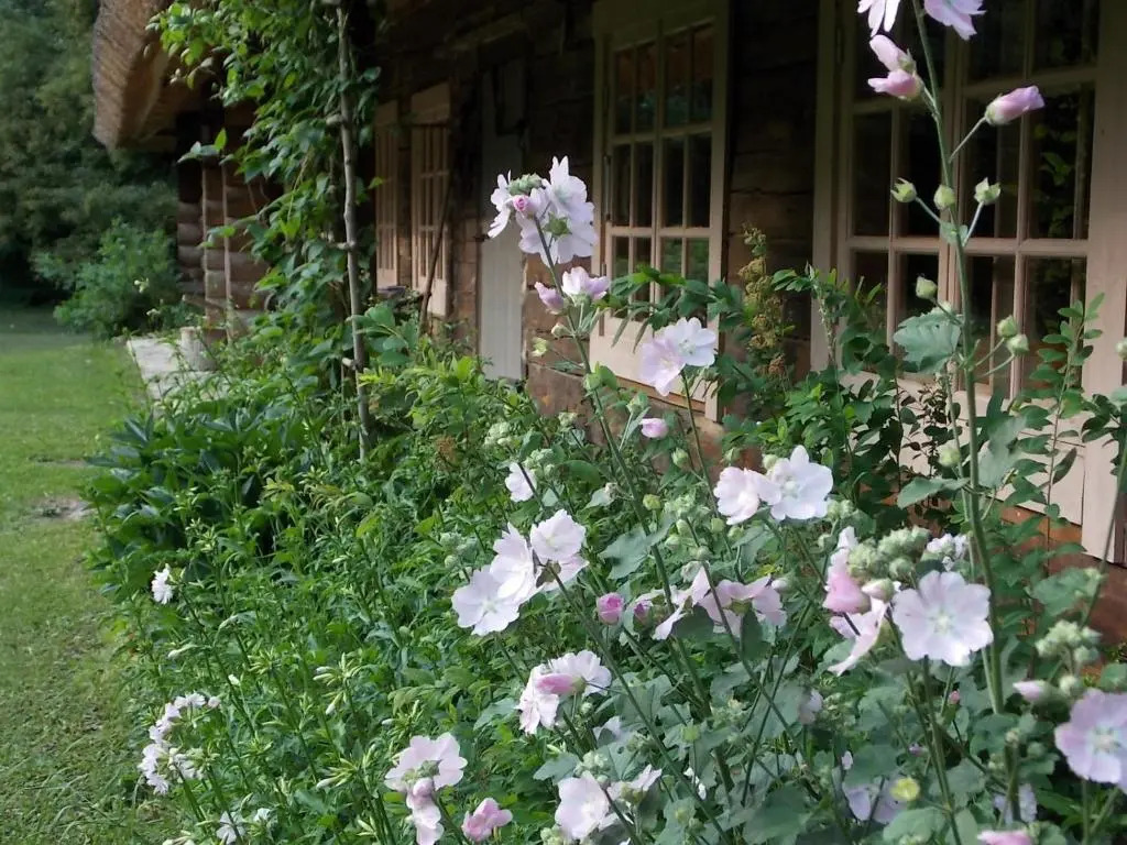 Kotka Farm