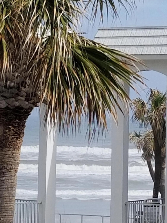 Paradise In New Smyrna Beach Florida