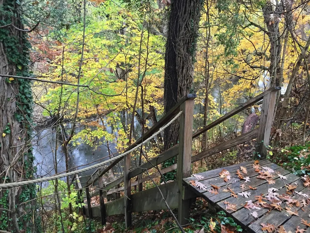 Goldberry Woods- A Modern Farm Resort