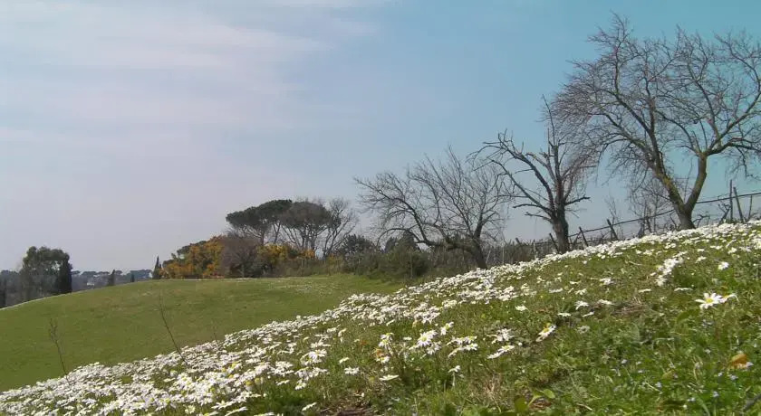 Casale del tiglio